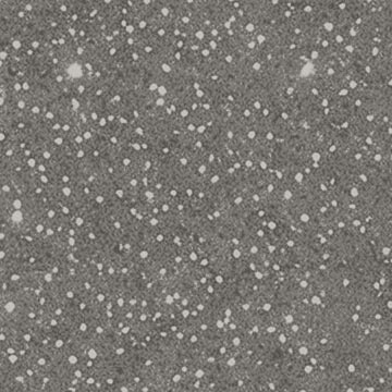 speckled stardust texture
