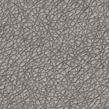 leather pebbled texture